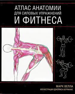 Анатомия упражнений для женщин pdf