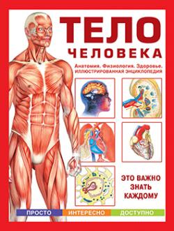 Книга мышцы в спорте анатомия физиология тренировка реабилитация
