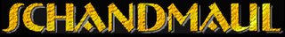 Постер Schandmaul - Unendlich Schandmaul - Unendlich