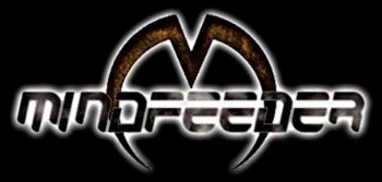 Постер Mindfeeder - Endless Storm Mindfeeder - Endless Storm