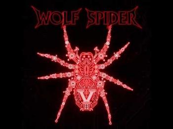 Wolf Spider - V