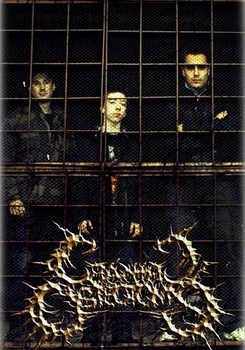 Cranial Osteotomy - 2 new tracks