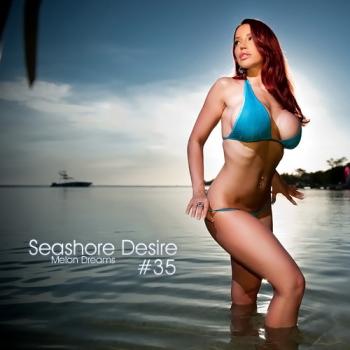 VA - Seashore Desire #35