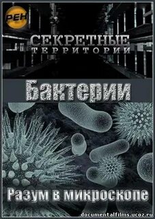  . .    ( 22.06.2011)