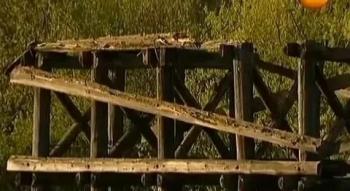  . .    (  03.08.2011)