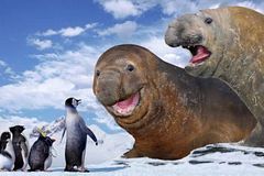 Постер Делай Ноги Делай Ноги