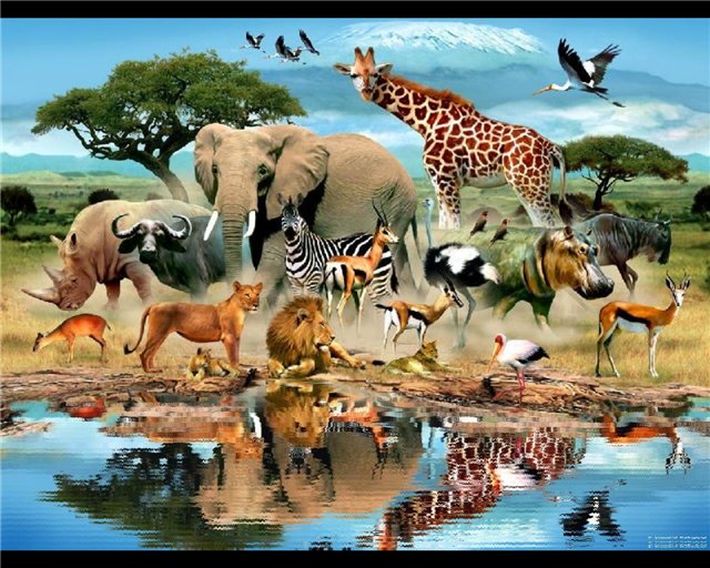 �������� - ������������ ������������� ���� 