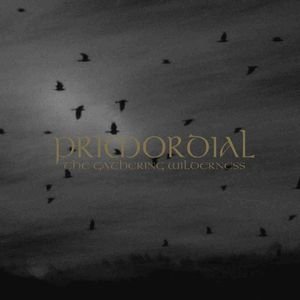 Primordial -  