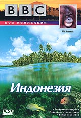 BBC:    . .  3:   / BBC: Wild Indonesia:Magical Forests)