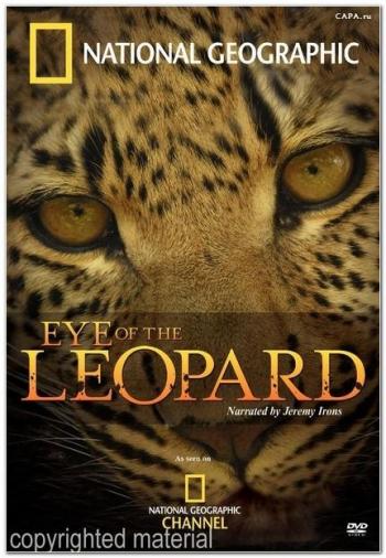   / National Geographic - Eye of the Leopard (2007)