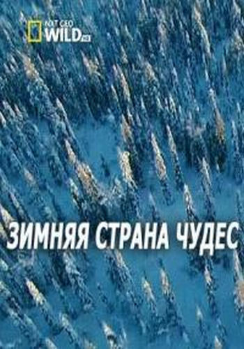    / Winter Wonderland DUB