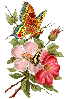 ������� �������. �������� � ������� 