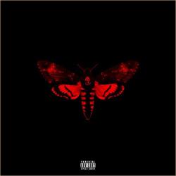 Lil Wayne - I Am Not A Human Being 2