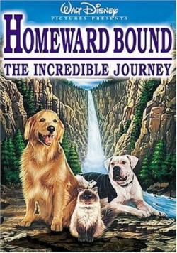  :   / Homeward Bound: The Incredible Journey