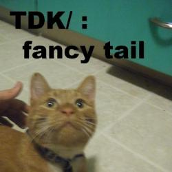 TDK - Fancy tail