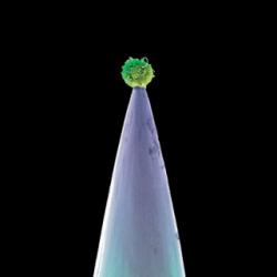 Peter Gabriel - New Blood (Special Edition 2CD)