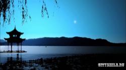 .    / The Universe-Pulsars and Quasars