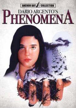  / Phenomena MVO