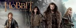     / The Hobbit: The Desolation of Smaug MVO