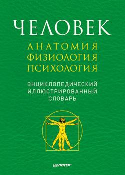 Книга мышцы в спорте анатомия физиология тренировка реабилитация