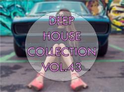 VA - Deep House Collection vol.43