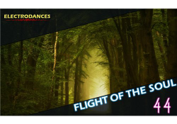 VA - Flight Of The Soul vol.44