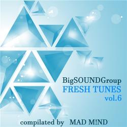 VA - Fresh Tunes vol.6 from Mad M!nd