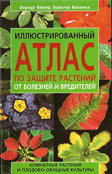 Марк велла анатомия фитнеса и силовых упражнений для женщин pdf