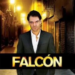 , 1  1-4   4 / Falcon [ ]