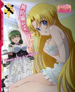   ! / Ladies versus Butlers! [TV] [1-12  12 + 1 ] [RAW] [RUS]