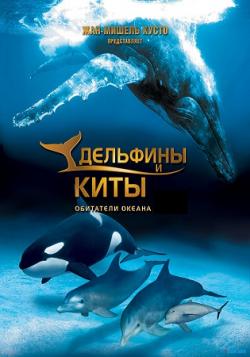   :   / Dolphins and Whales: Tribes of the Ocean DUB