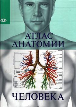 Марк велла анатомия фитнеса и силовых упражнений для женщин pdf