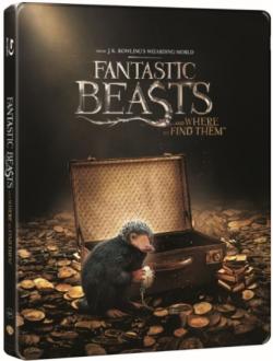       / Fantastic Beasts and Where to Find Them DUB