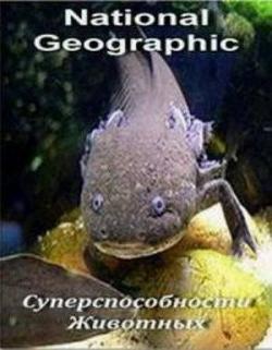   (1 , 1-3   3) / NAT GEO WILD. Animal Superpowers VO